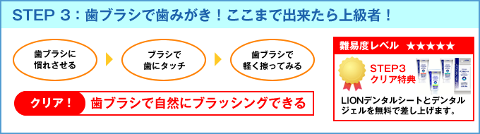 STEP 3:歯ブラシで歯磨き!ここまで出来たら上級者!